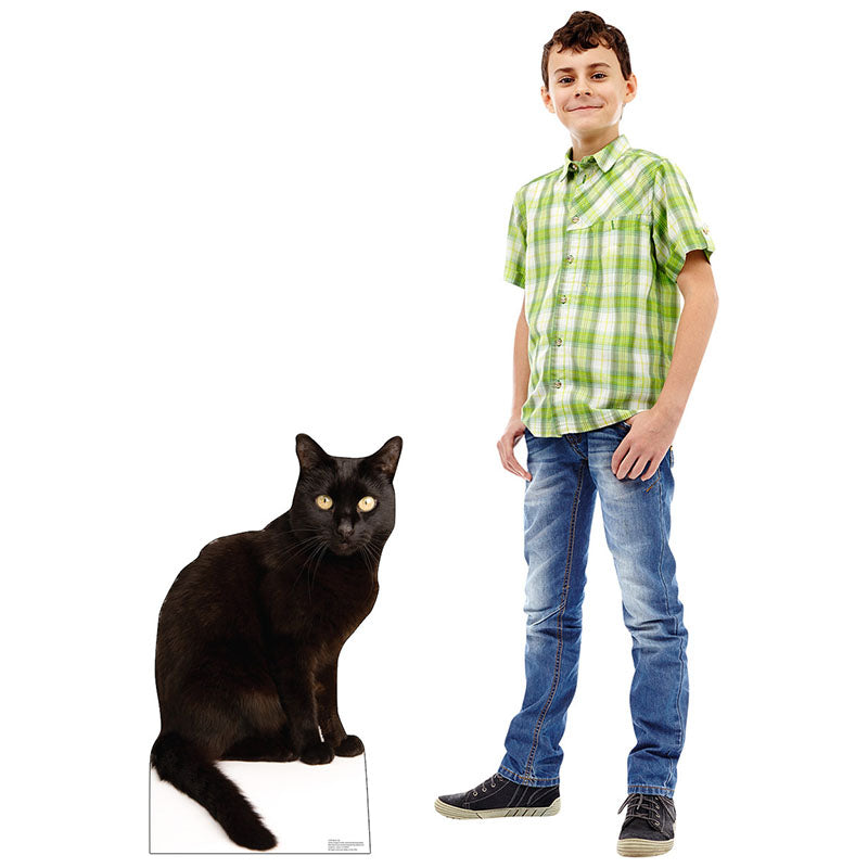 BLACK CAT Cardboard Cutout Standup / Standee