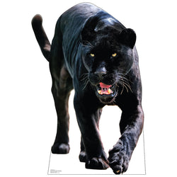 BLACK JAGUAR Cardboard Cutout Standup / Standee