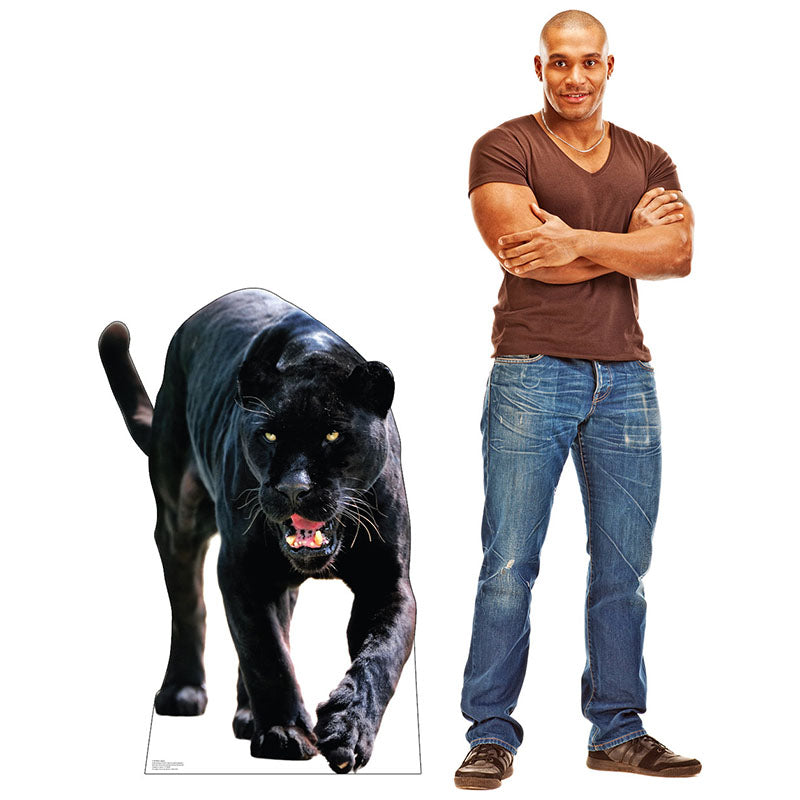 BLACK JAGUAR Cardboard Cutout Standup / Standee