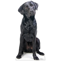 BLACK LABRADOR Cardboard Cutout Standup / Standee