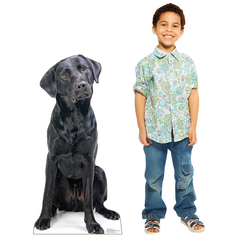 BLACK LABRADOR Cardboard Cutout Standup / Standee