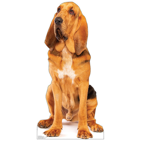 BLOODHOUND Cardboard Cutout Standup / Standee