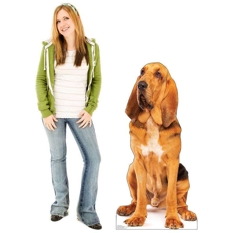 BLOODHOUND Cardboard Cutout Standup / Standee