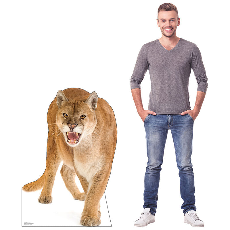 COUGAR Cardboard Cutout Standup / Standee