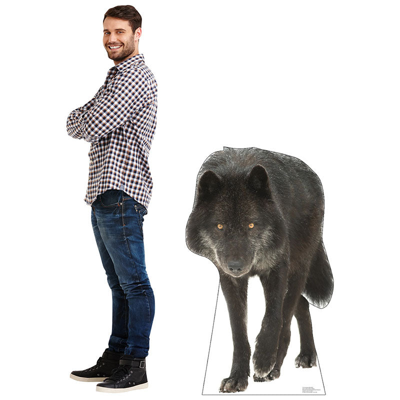 CANADIAN BLACK WOLF Cardboard Cutout Standup / Standee