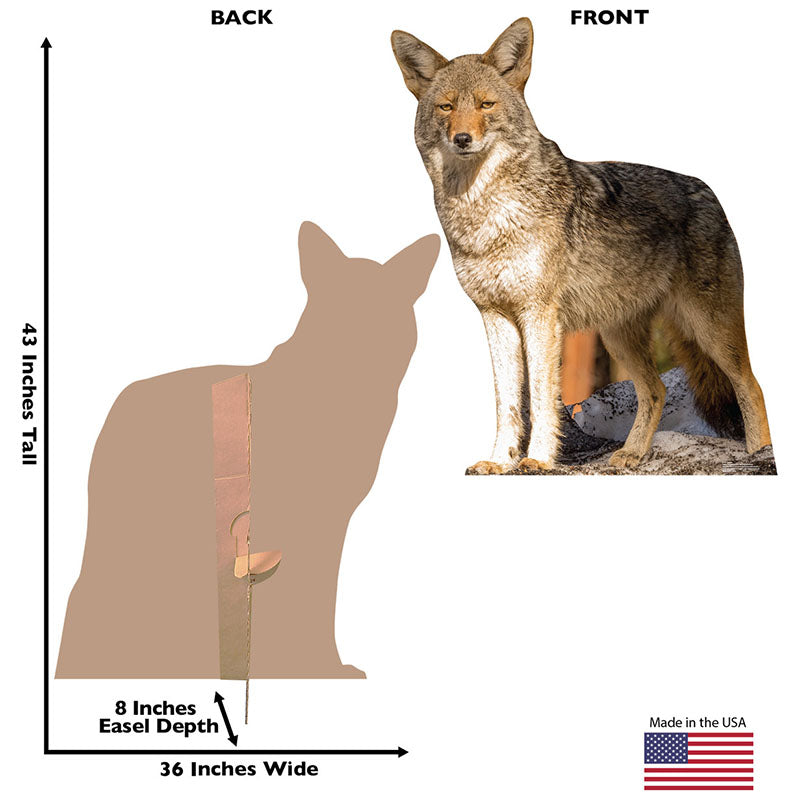 COYOTE Cardboard Cutout Standup / Standee