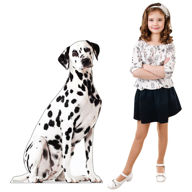 DALMATIAN DOG Cardboard Cutout Standup / Standee