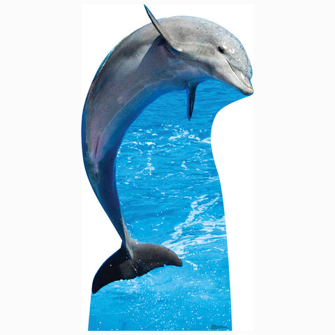 DOLPHIN Cardboard Cutout Standup / Standee