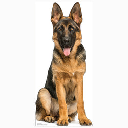 GERMAN SHEPHERD DOG Cardboard Cutout Standup / Standee