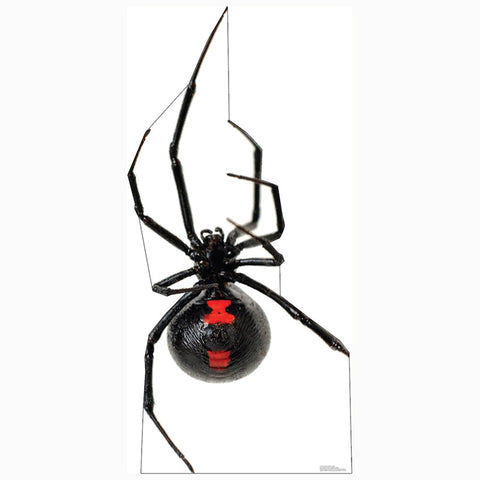 BLACK WIDOW SPIDER Cardboard Cutout Standup / Standee