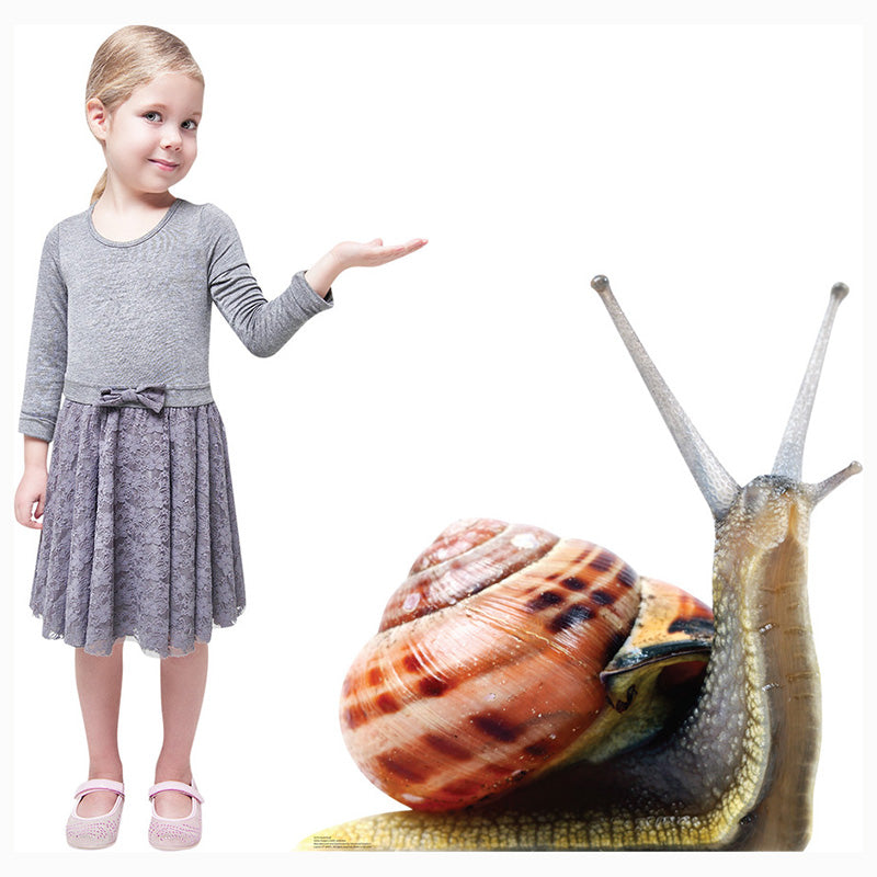 GIANT SNAIL Cardboard Cutout Standup / Standee