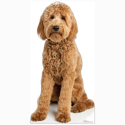 GOLDENDOODLE DOG Cardboard Cutout Standup / Standee