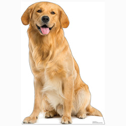 GOLDEN RETRIEVER DOG Cardboard Cutout Standup / Standee