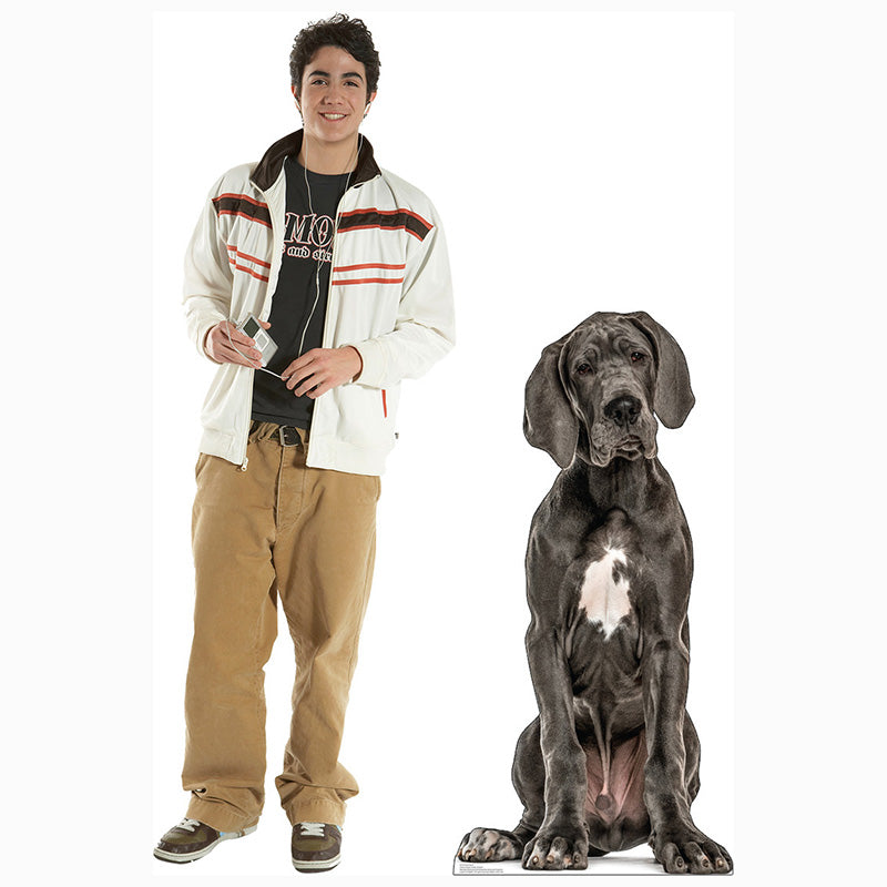 GREAT DANE DOG Cardboard Cutout Standup / Standee