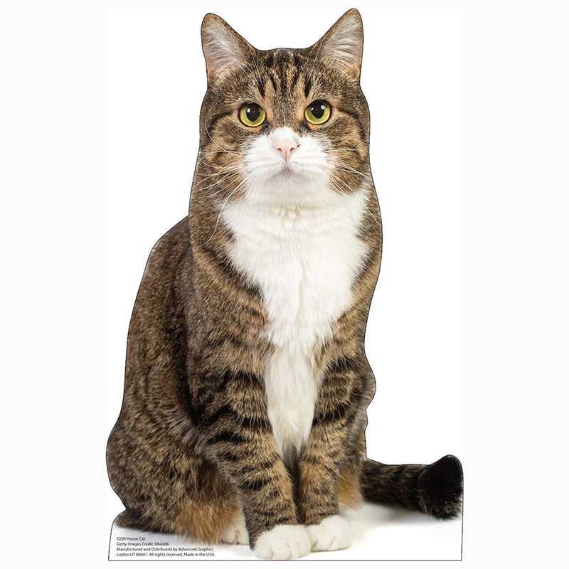 HOUSE CAT Cardboard Cutout Standup / Standee