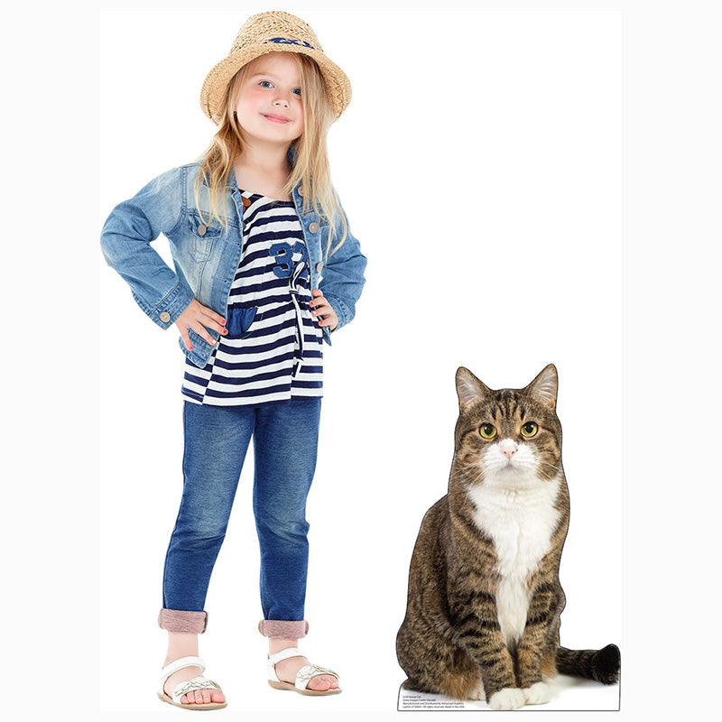 HOUSE CAT Cardboard Cutout Standup / Standee