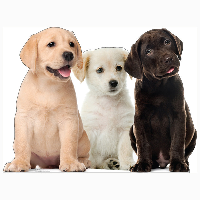 PUPPIES Cardboard Cutout Standup / Standee