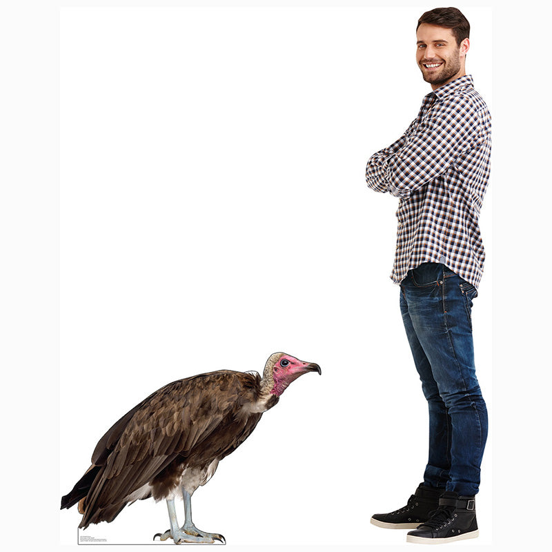 HOODED VULTURE Cardboard Cutout Standup / Standee