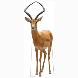 IMPALA Cardboard Cutout Standup / Standee