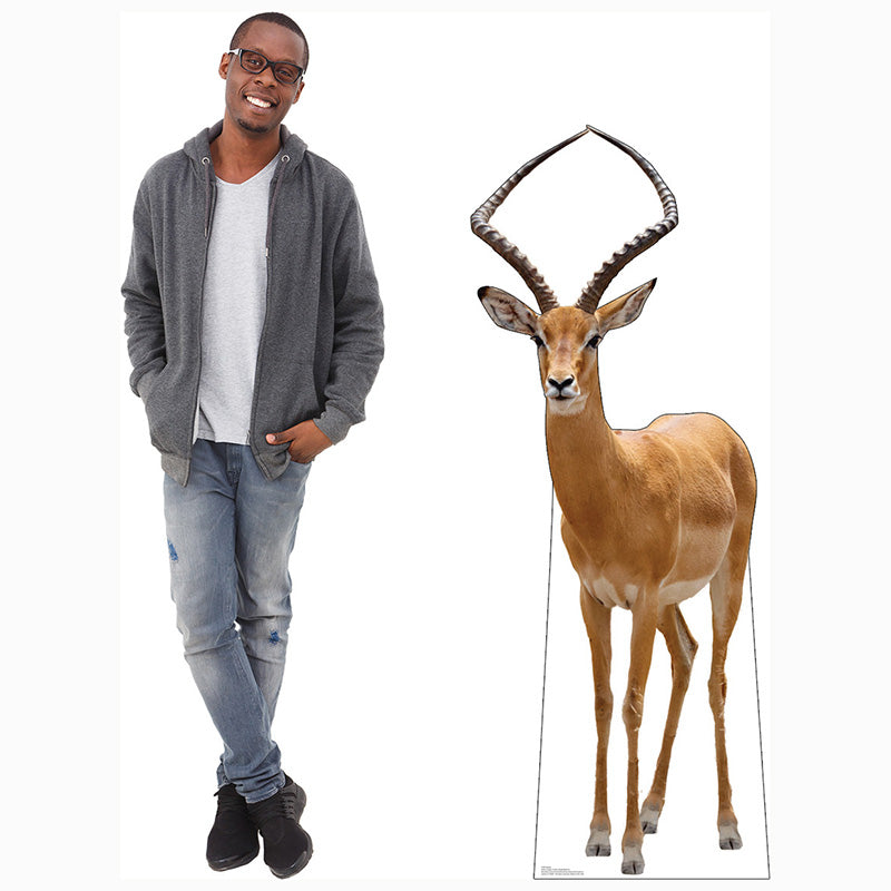IMPALA Cardboard Cutout Standup / Standee