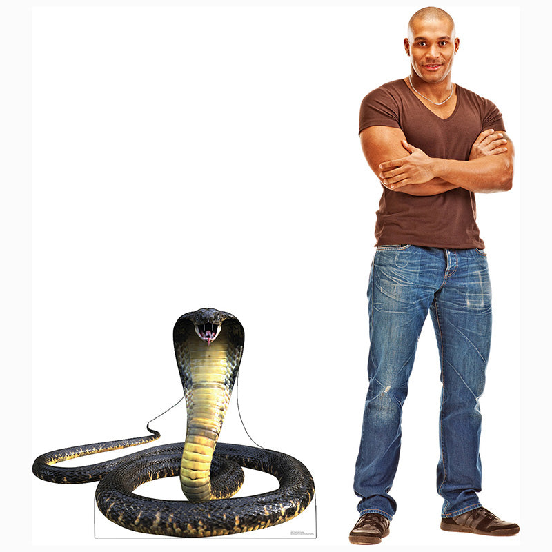 KING COBRA SNAKE Cardboard Cutout Standup / Standee