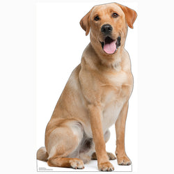 LABRADOR RETRIEVER Cardboard Cutout Standup / Standee