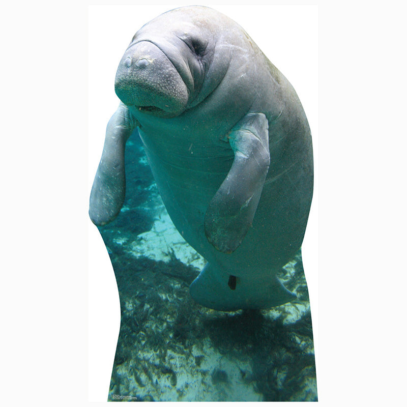 MANATEE Cardboard Cutout Standup / Standee