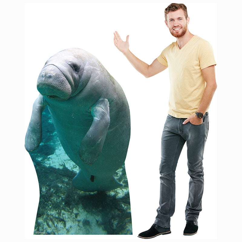 MANATEE Cardboard Cutout Standup / Standee