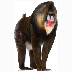 MANDRILL Cardboard Cutout Standup / Standee