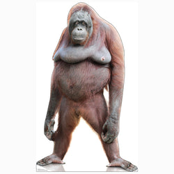 ORANGUTAN Cardboard Cutout Standup / Standee