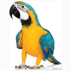 PARROT Cardboard Cutout Standup / Standee