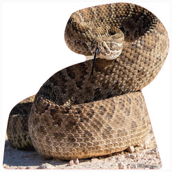 RATTLESNAKE Cardboard Cutout Standup / Standee