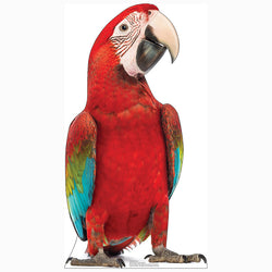 RED PARROT Cardboard Cutout Standup / Standee