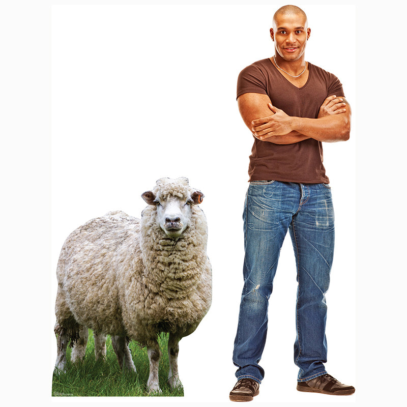 SHEEP Cardboard Cutout Standup / Standee