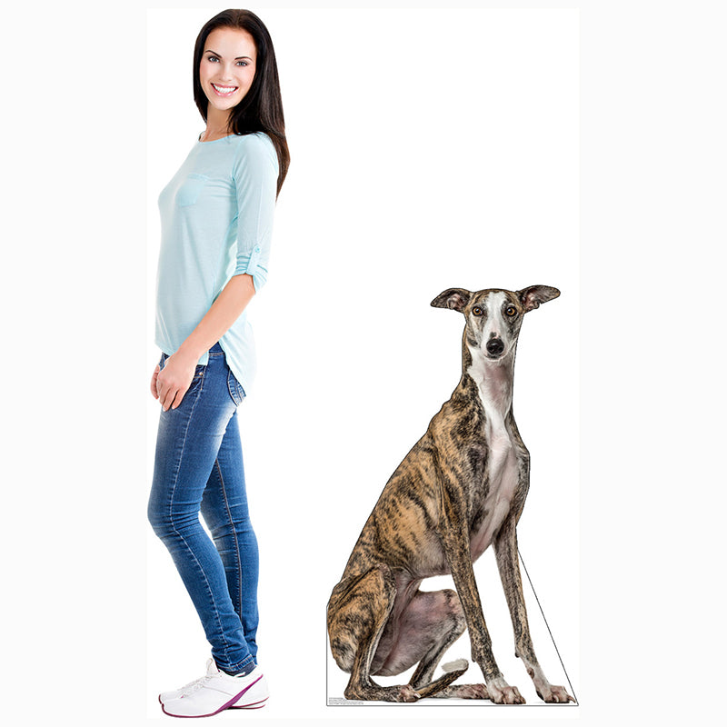 GREYHOUND Cardboard Cutout Standup / Standee