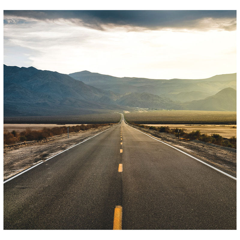 DEATH VALLEY BACKDROP Cardboard Cutout Standup / Standee