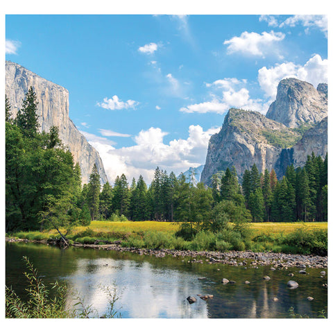YOSEMITE VALLEY BACKDROP Cardboard Cutout Standup / Standee
