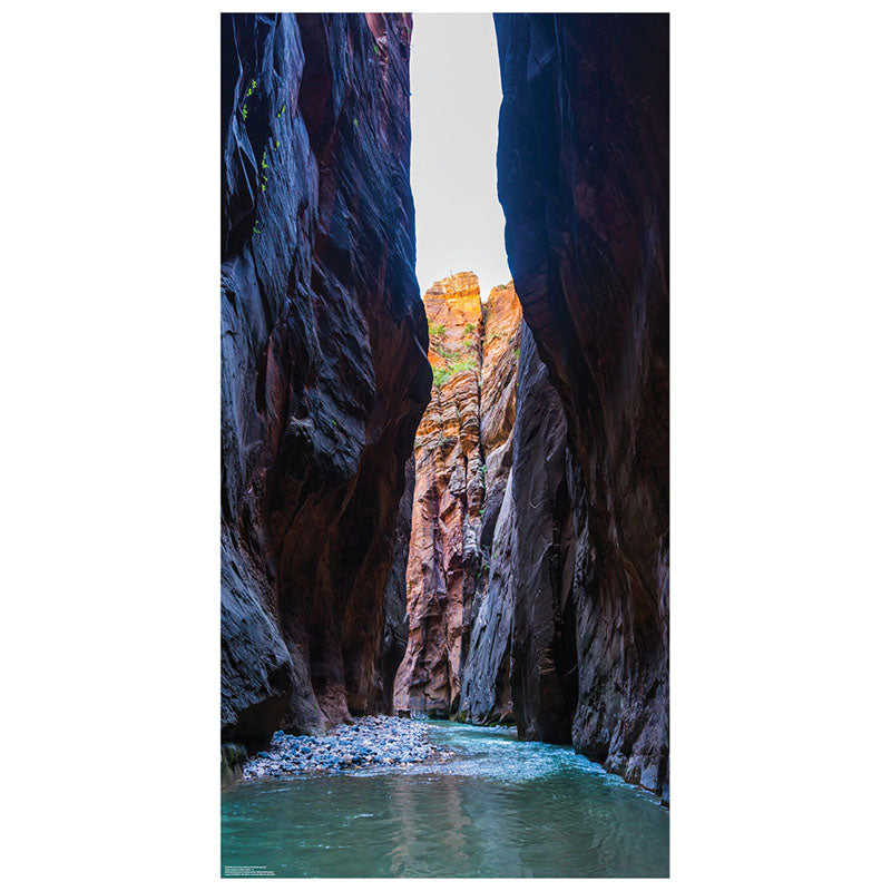 ZION NATIONAL PARK BACKDROP Cardboard Cutout Standup / Standee
