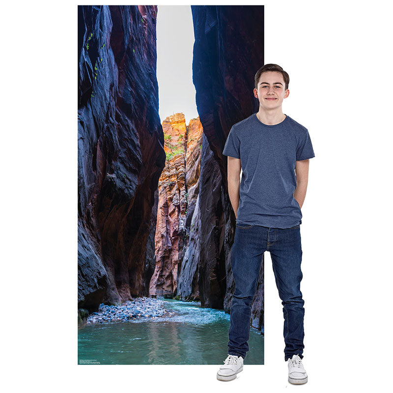 ZION NATIONAL PARK BACKDROP Cardboard Cutout Standup / Standee