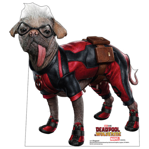 DOGPOOL