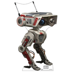BD-1
