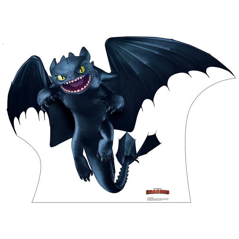 NIGHT FURY