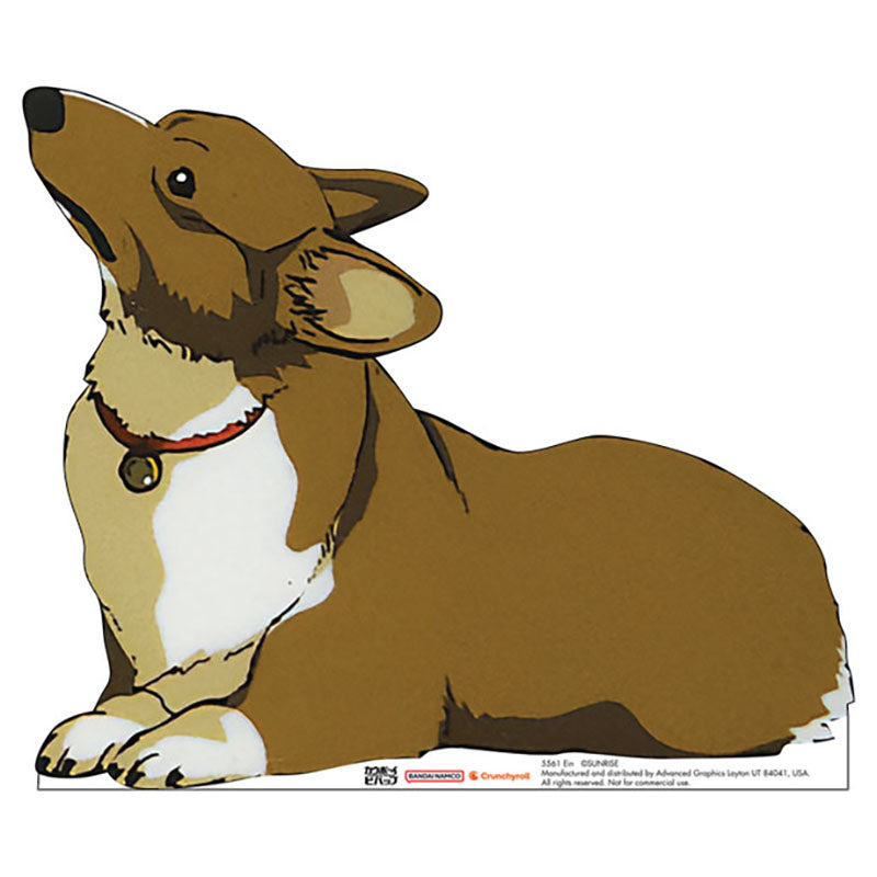 EIN