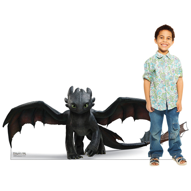 TOOTHLESS "How to Train Your Dragon" Cardboard Cutout Standup / Standee