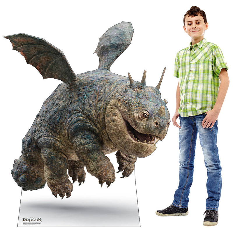 GRONCKLE "How to Train Your Dragon" Cardboard Cutout Standup / Standee