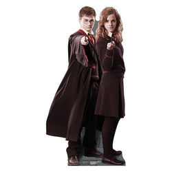 HARRY POTTER & HERMIONE GRANGER 