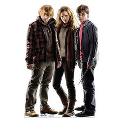 HARRY, HERMIONE & RON 