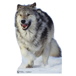 GREY WOLF Lifesize Cardboard Cutout Standup Standee - Front