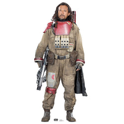 BAZE MALBUS