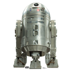R2-BHD